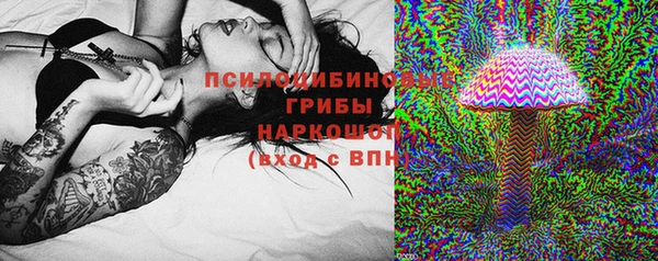 стаф Лабытнанги